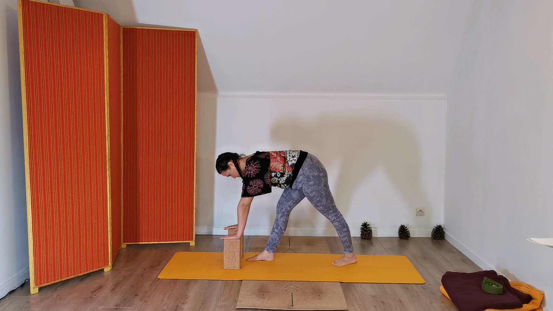 Yoga doux (hatha) - Flexibility & Mobility (Openers/Backbends) yoga class with Mylène Debonlier